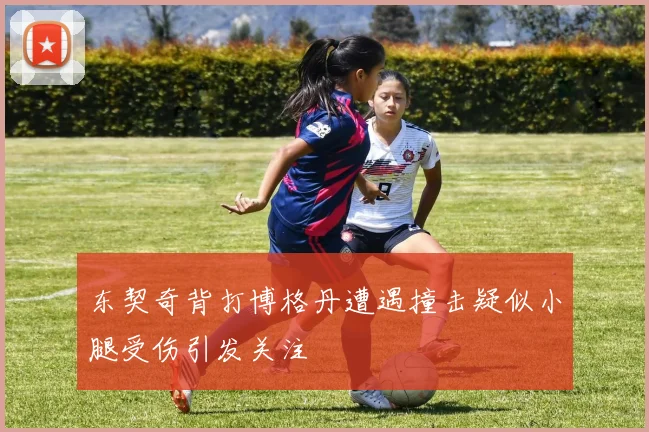东契奇背打博格丹遭遇撞击疑似小腿受伤引发关注